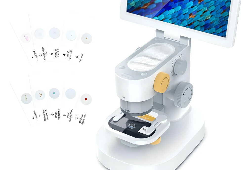 digital microscope education