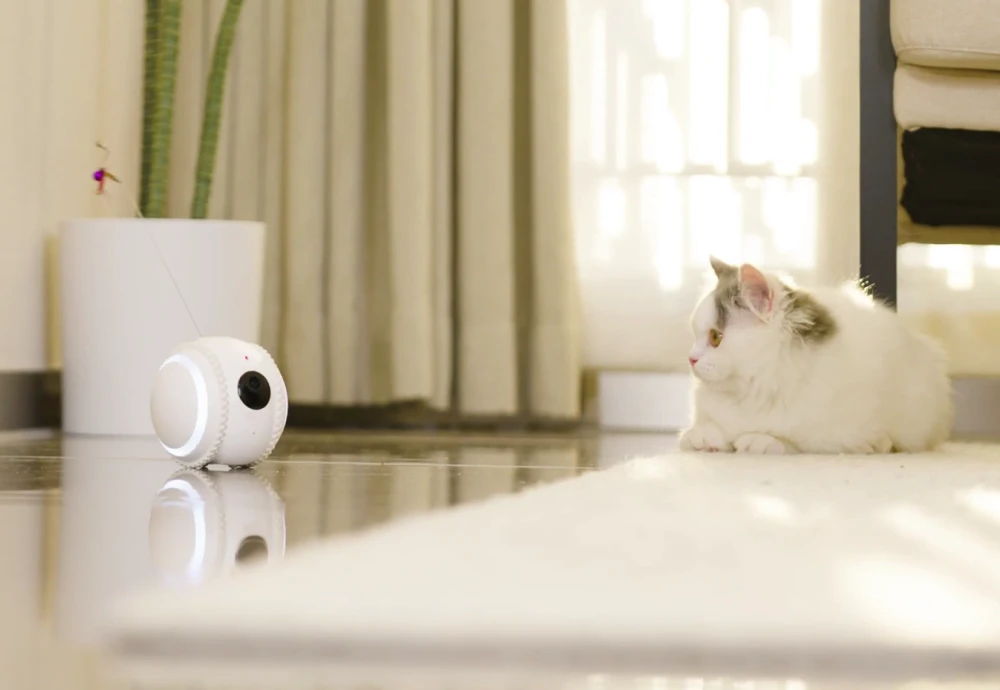 interactive pet camera