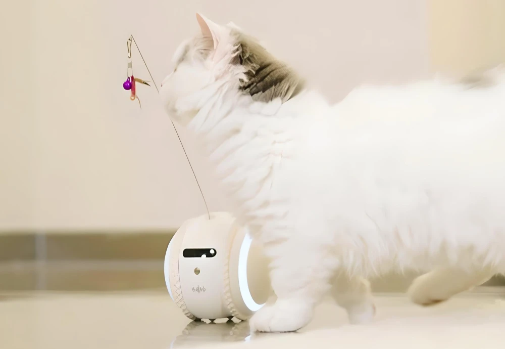 video camera for watching pets