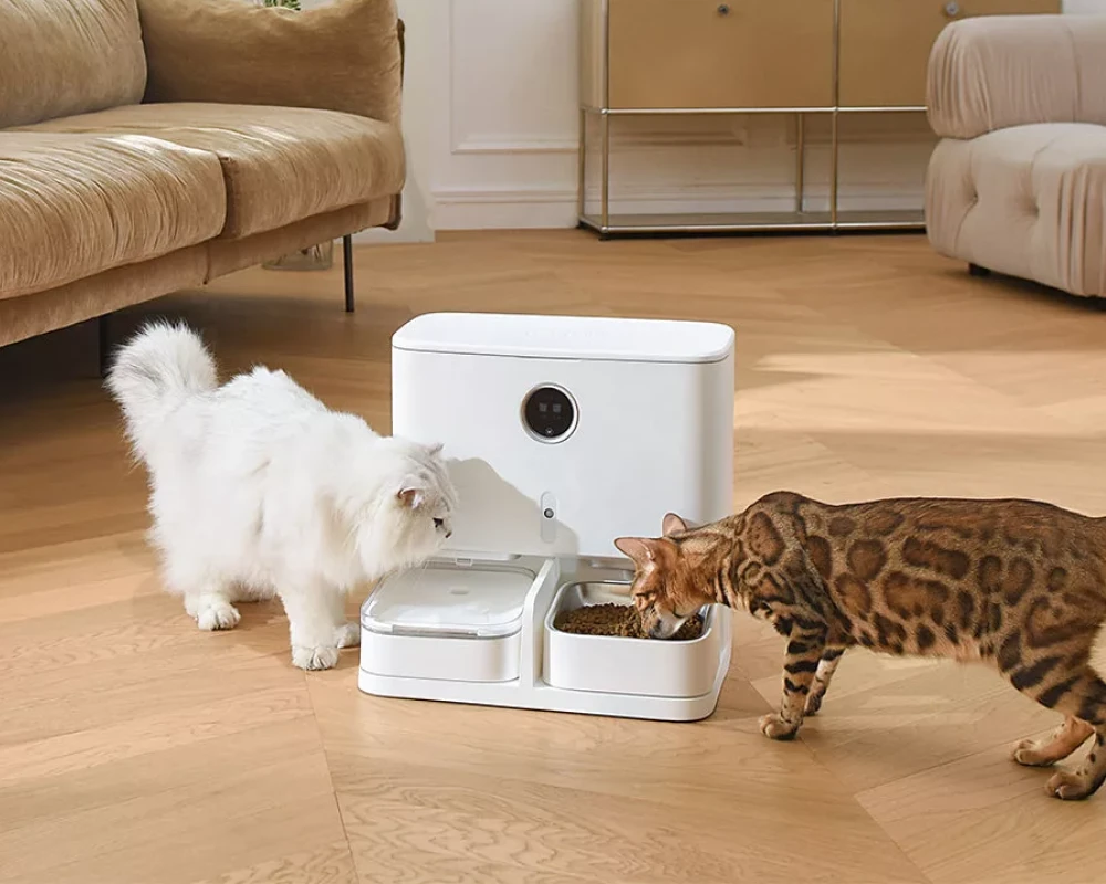 automatic electronic pet feeder