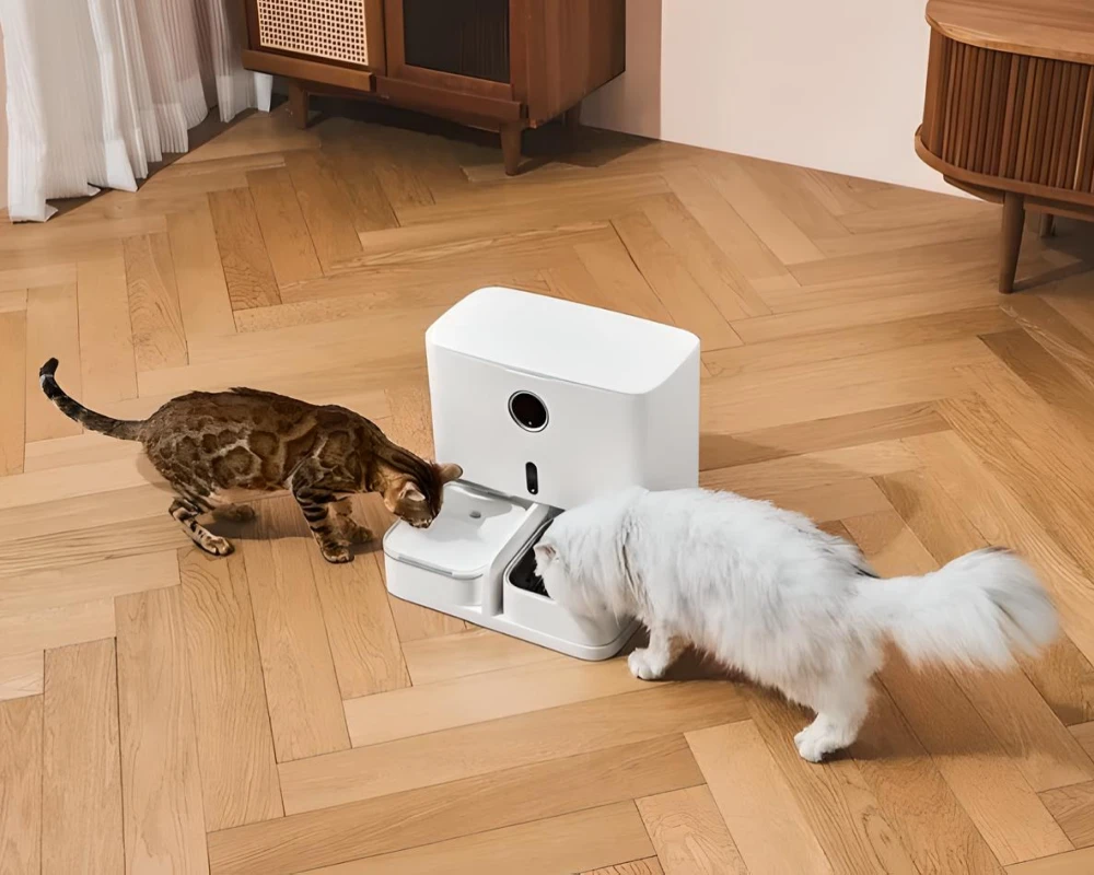 pet safe automatic feeder